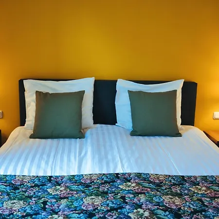 De Hofnar Bed & Breakfast Roermond